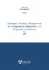 Cover for Enfoques, Teorías y Perspectivas de la Ingeniería Industrial y sus Programas Académicos